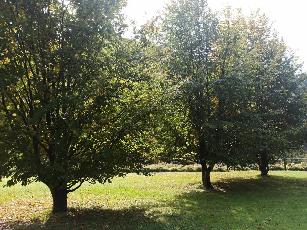 Il Bosco Di Campo Marzano Sunlight Borzonasca Exterior foto