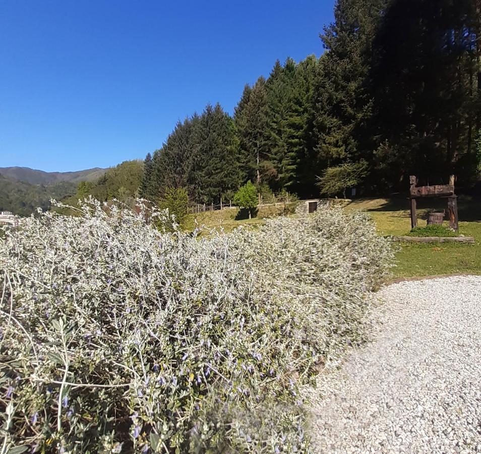 Il Bosco Di Campo Marzano Sunlight Borzonasca Exterior foto